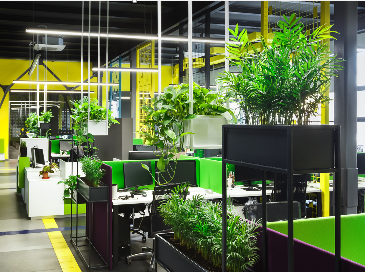 zielono-w-biurze