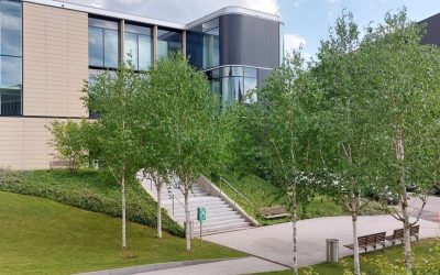 Wilanów Office Park