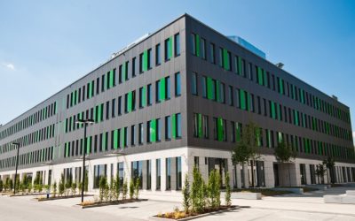 biuro-poleczki-park-berlin_12